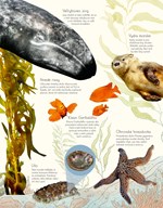 b102l10001324_svet-vody-a-jeho-zazraky-l