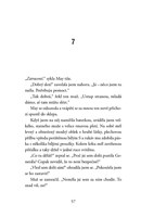 a101f0f0014562_podezrele-nenapadne-zmize