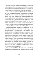 A10160F0009776_Pryc-se-systemem-list4.jp