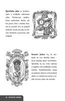 0026998697_b102l10001601_detektiv-junior