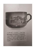 A10160F0014585_Ne-kazda-zruda-je-vrah-li