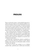 a101a0f0013730_ve-vysluzbe-4-luciferova-