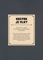 A101M0F0017394_minecraft-chytte-creepera