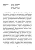 0102603287_9788075582249_Anicka_skritek_