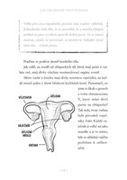 a10160f0016517_teorie-muzskeho-tresku-li