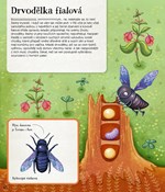 A101U0F0015312_svet-vcel-a-jejich-pribuz