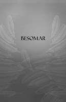 b102lx10000264_syn-podsvetia-1