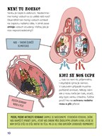 A101U0F0015314_od-hlavy-az-k-pate-list3.