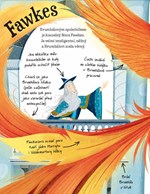 A10110F0015963_Potterovsky-pruvodce-Prof