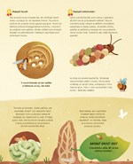 b102l1l0002298_tajny-zivot-hmyz-list2.jp