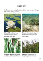 A101E0N0015907_Prirucka-pro-male_list5.j