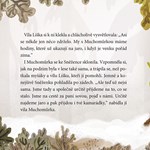 a101a0f0018415_vila-muchomurka-klic-k-ja