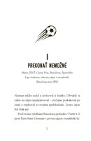 b102l10001635_hviezdy-futbalu-neymar-lis