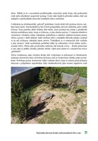 a101c0n0018765_zaciname-se-zelvami-list4