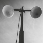 A101I0F0015318_posledni-letni-kvet-list2