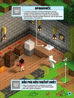 A101M0F0017843_minecraft-rudit-kniha-sam