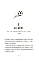 b102l10001636_hviezdy-futbalu-lewandowsk