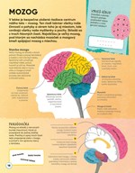 b102l1l0002111_trenuj-si-mozog-ludske-te