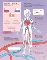 b102l1l0002111_trenuj-si-mozog-ludske-te