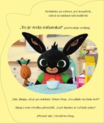 A101M0F0018524_bing-si-cisti-zoubky-list