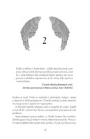 a10130F0016744_kniha-zlomenych-srdci-lis