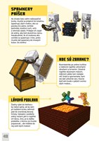 A102M1F0018423_mInecraft-vyzvy-na-prezit