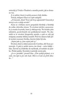 a101f0f0015428_jezdkyne-svetla-5-zmizeni