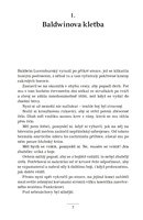 A101V0F0007950_Adam-ze-Zbraslavi-a-pripa