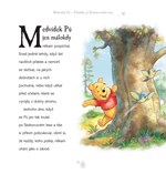 A101M0F0018461_medvidek-pu-pohadky-ze-st