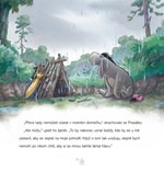 A101M0F0018461_medvidek-pu-pohadky-ze-st