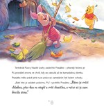 A101M0F0018461_medvidek-pu-pohadky-ze-st