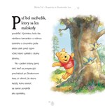 A102M1F0018568_macko-puf-rozpravky-zo-st