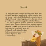 A101I0F0017410_lesni-vila-modlinka-list1