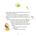 A101I0F0018271_kastanek-a-slunicko-list1