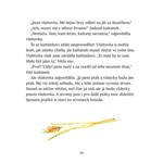 A101I0F0018271_kastanek-a-slunicko-list3