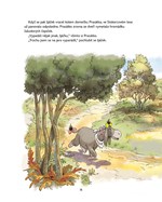 A101M0F0017507_medvidek-pu-kouzelny-les-