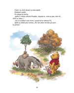 A101M0F0017507_medvidek-pu-kouzelny-les-