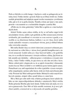 a101f0f0013665_sirotci-destovych-stinu-l