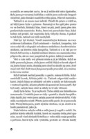 A101I0F0017031_uz-nestojim-pod-duhou-lis