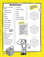 A102M1F0017485_minecraft-herny-dennik-li