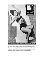 0104421137_9788088433682_cas-vlku-strana