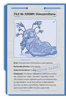 A102M1F0018090_stitch-stitch-na-stope-li