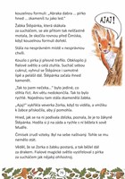 0104727360_9788090937505_pohadky_cimicke