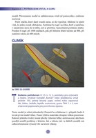 A101C0N0015255_Letecke-modelarstvi_list4