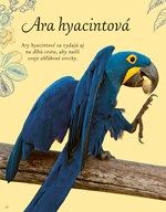 b102l1l0002034_vtaky-a-ich-vynimocne-sch