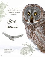 b102l1l0002034_vtaky-a-ich-vynimocne-sch