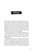 A101I0F0016738_trampoty-probacniho-sluze