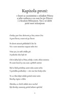 A101I0F0017944_neco-z-pisty-list1.jpg