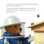 A101M0F0019539_dobrodruzstvi-medvidka-pa