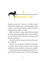 a101f0f0016458_kocicka-hamley-7-a-vanocn
